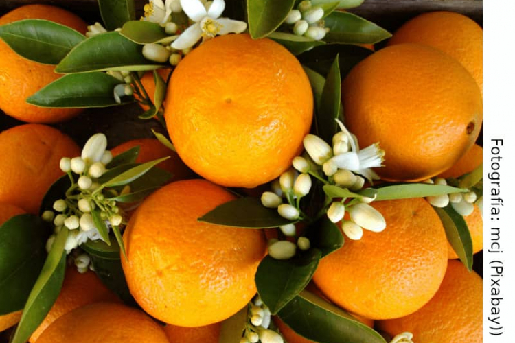 Artículo: "Cambio". Josep Fornas. Psicólogo Vinaròs.